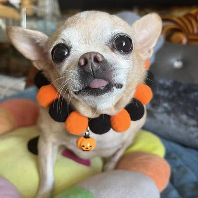 The Halloween Pet Adjustable Collar
