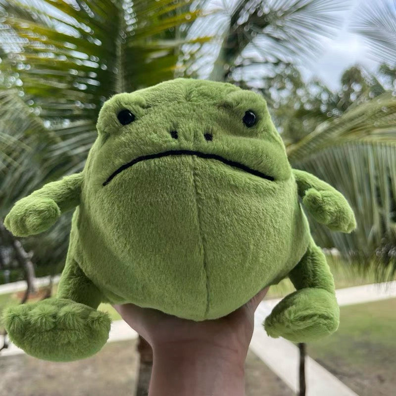 Cute Ugly Frog Plushie Toy